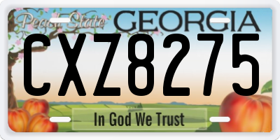 GA license plate CXZ8275