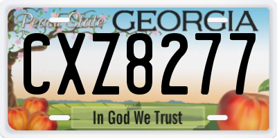 GA license plate CXZ8277