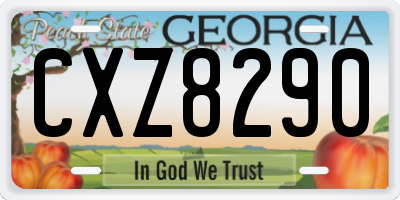 GA license plate CXZ8290