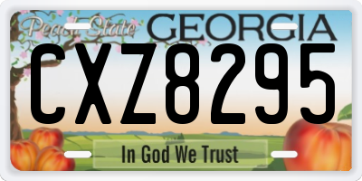 GA license plate CXZ8295