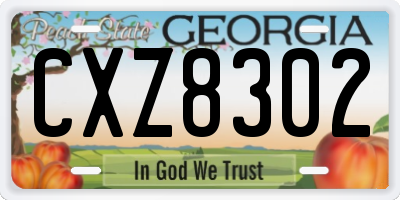 GA license plate CXZ8302