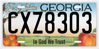 GA license plate CXZ8303
