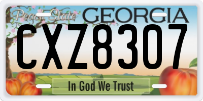 GA license plate CXZ8307