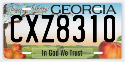 GA license plate CXZ8310