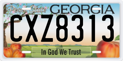 GA license plate CXZ8313