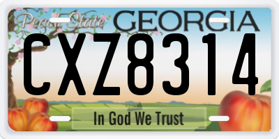 GA license plate CXZ8314