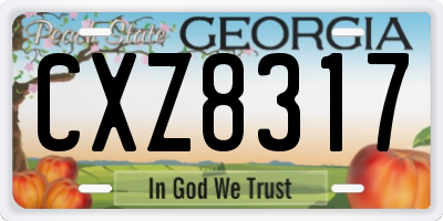 GA license plate CXZ8317