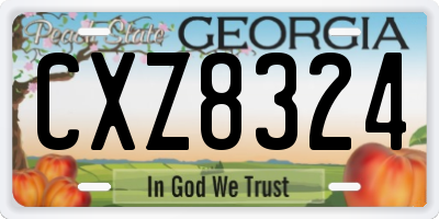 GA license plate CXZ8324