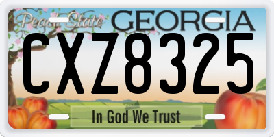GA license plate CXZ8325