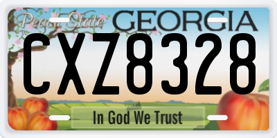 GA license plate CXZ8328