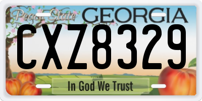 GA license plate CXZ8329