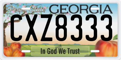 GA license plate CXZ8333