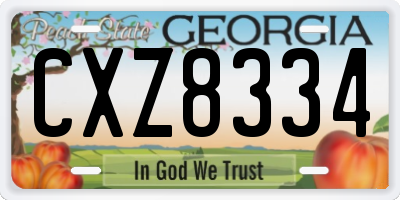 GA license plate CXZ8334