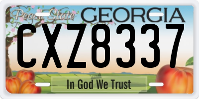 GA license plate CXZ8337