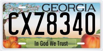 GA license plate CXZ8340
