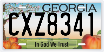 GA license plate CXZ8341