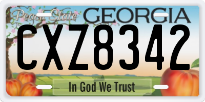 GA license plate CXZ8342
