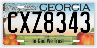 GA license plate CXZ8343
