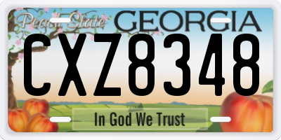 GA license plate CXZ8348