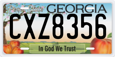 GA license plate CXZ8356