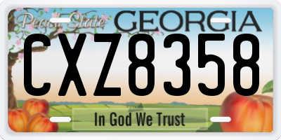GA license plate CXZ8358
