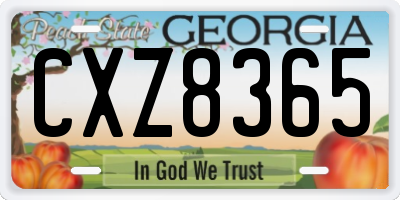 GA license plate CXZ8365