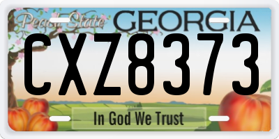 GA license plate CXZ8373
