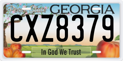 GA license plate CXZ8379