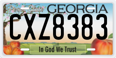 GA license plate CXZ8383