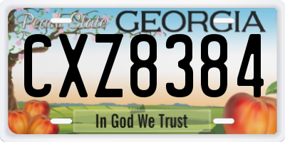 GA license plate CXZ8384