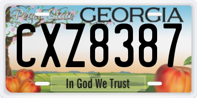 GA license plate CXZ8387