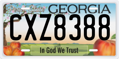 GA license plate CXZ8388