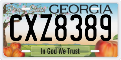 GA license plate CXZ8389