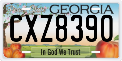 GA license plate CXZ8390
