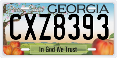 GA license plate CXZ8393