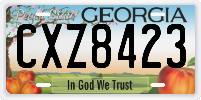 GA license plate CXZ8423