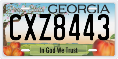 GA license plate CXZ8443