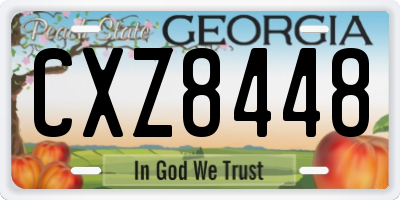 GA license plate CXZ8448