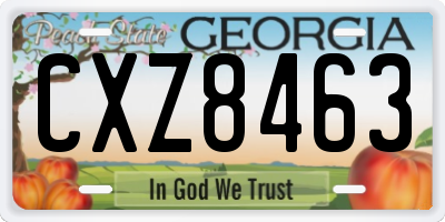 GA license plate CXZ8463