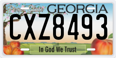 GA license plate CXZ8493
