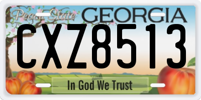 GA license plate CXZ8513