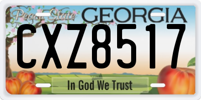 GA license plate CXZ8517