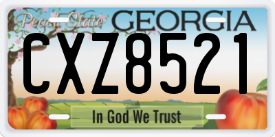 GA license plate CXZ8521