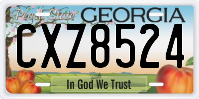 GA license plate CXZ8524