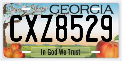GA license plate CXZ8529