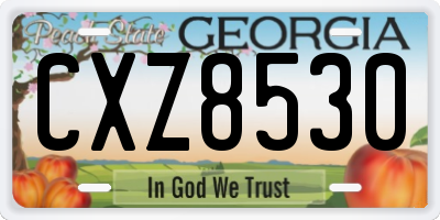 GA license plate CXZ8530