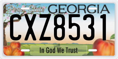 GA license plate CXZ8531