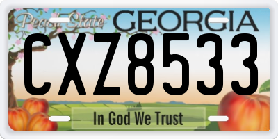 GA license plate CXZ8533