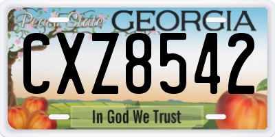 GA license plate CXZ8542