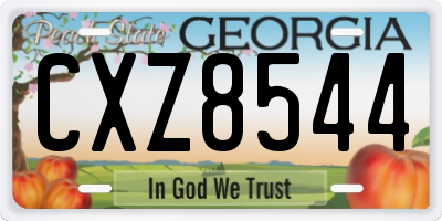 GA license plate CXZ8544